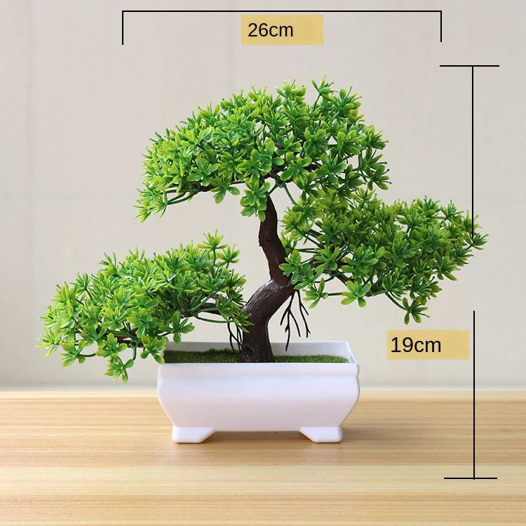 Zen Collection | Mini Bonsai Plant for Tranquil Indoor Decor | Perfect Desk Accent for Serenity