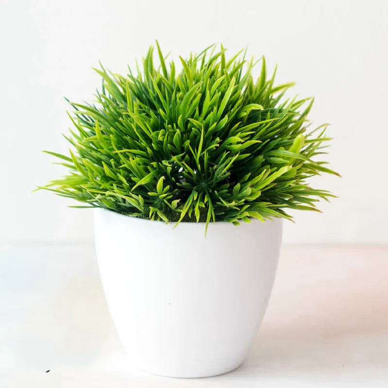 Zen Collection | Mini Bonsai Plant for Tranquil Indoor Decor | Perfect Desk Accent for Serenity